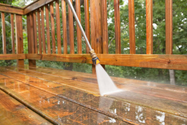 Best Best Pressure Washing Companies  in Rochelle, IL